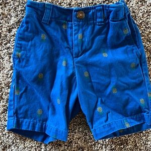 LANDS END | Blue Shorts with Pineapple Design.  Adjustable waistband.